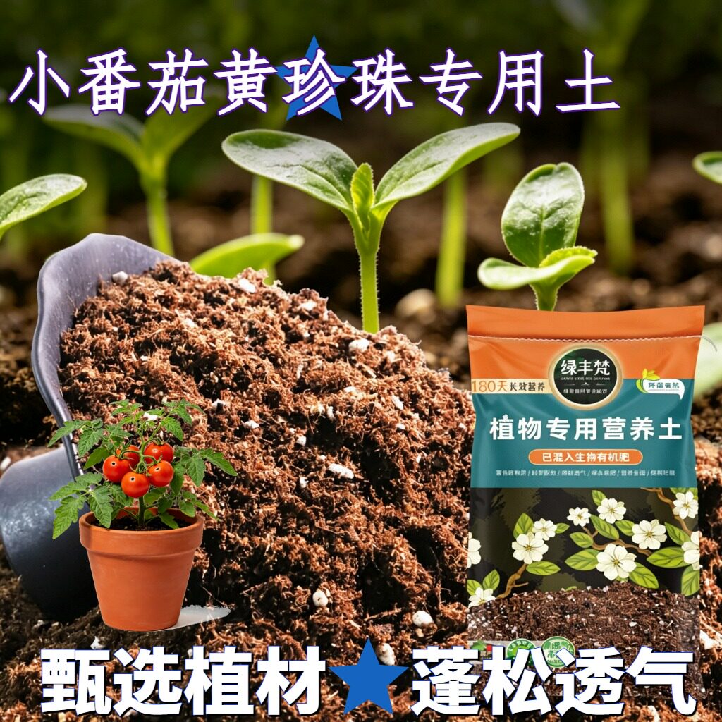 小番茄黄珍珠适用轻质基质土种植土配比科学保水锁水无草籽观叶