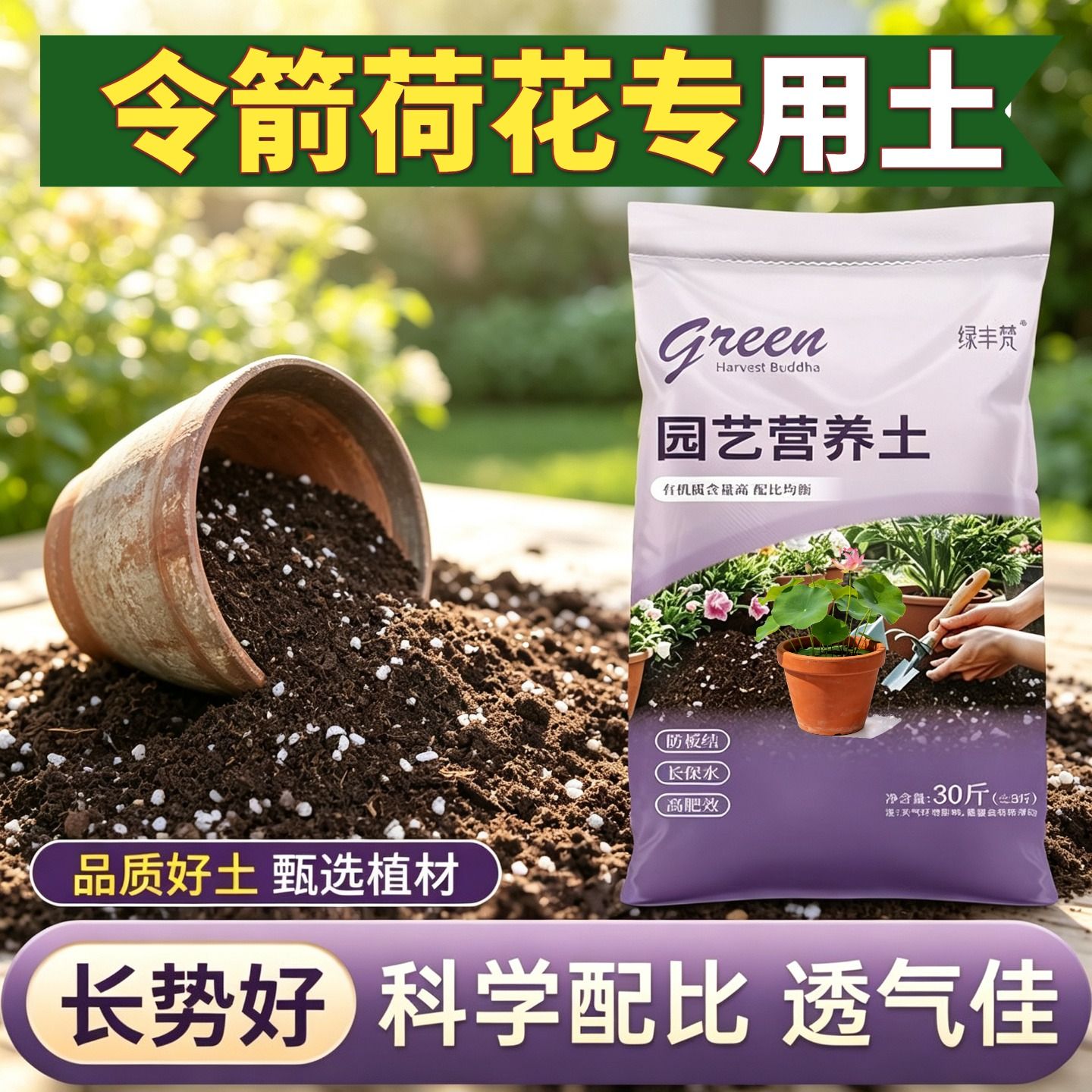 令箭荷花适用泥炭土防烂根高温灭菌阳台加深生根粉进口防黄叶喜酸