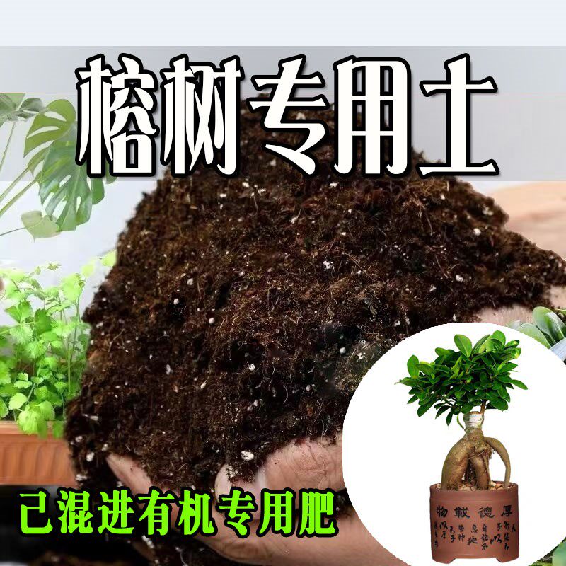 榕树专用土 营养土通用型有机种花养花土绿植有机肥料种植土壤