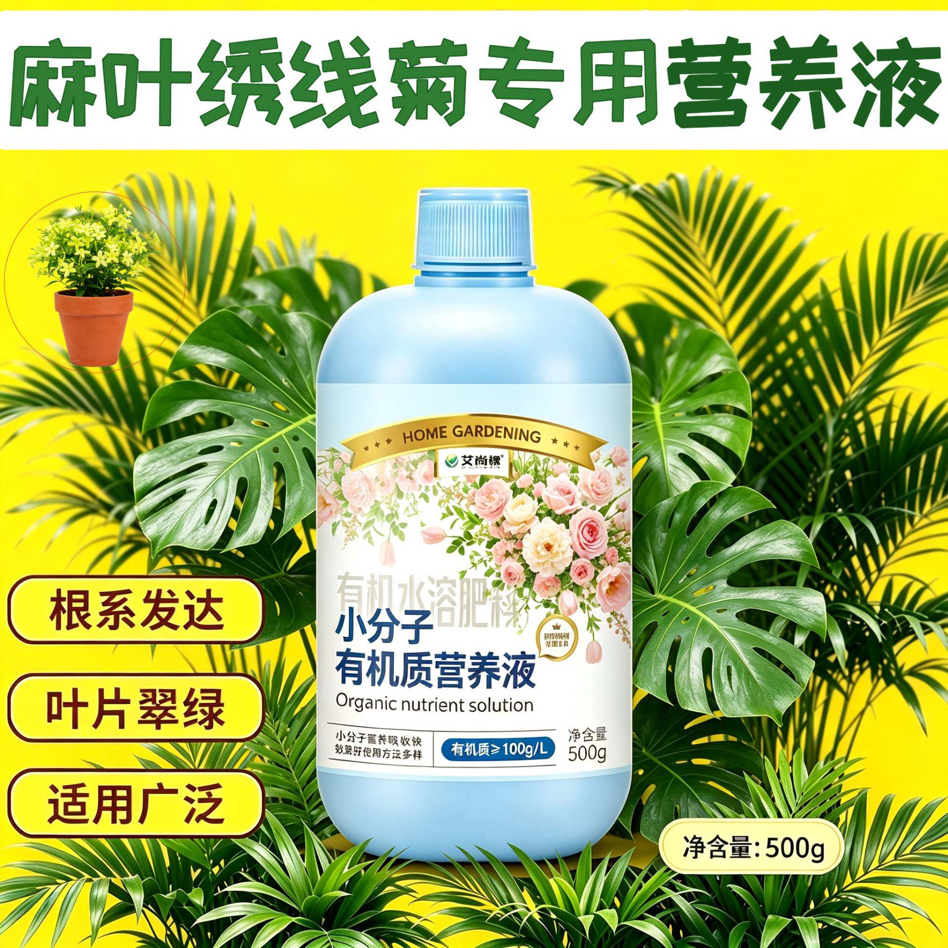 麻叶绣线菊适用观叶型营养液小分子有机质兑水即用园艺叶绿花艳