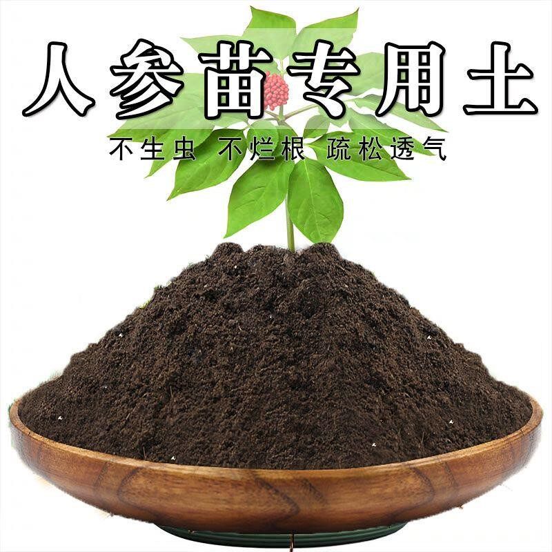 人参苗专用土人参土盆栽营养土通用有机肥料土壤种花养花土种植土