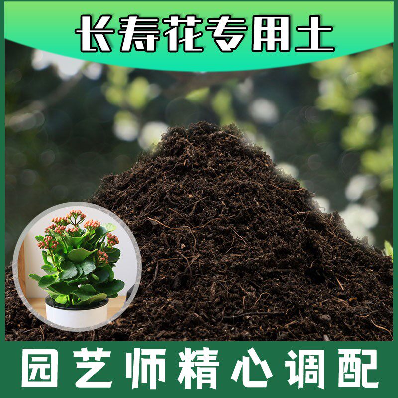 长寿花专用土腐殖土种花养花盆栽土长寿花营养土肥料种植有机土壤