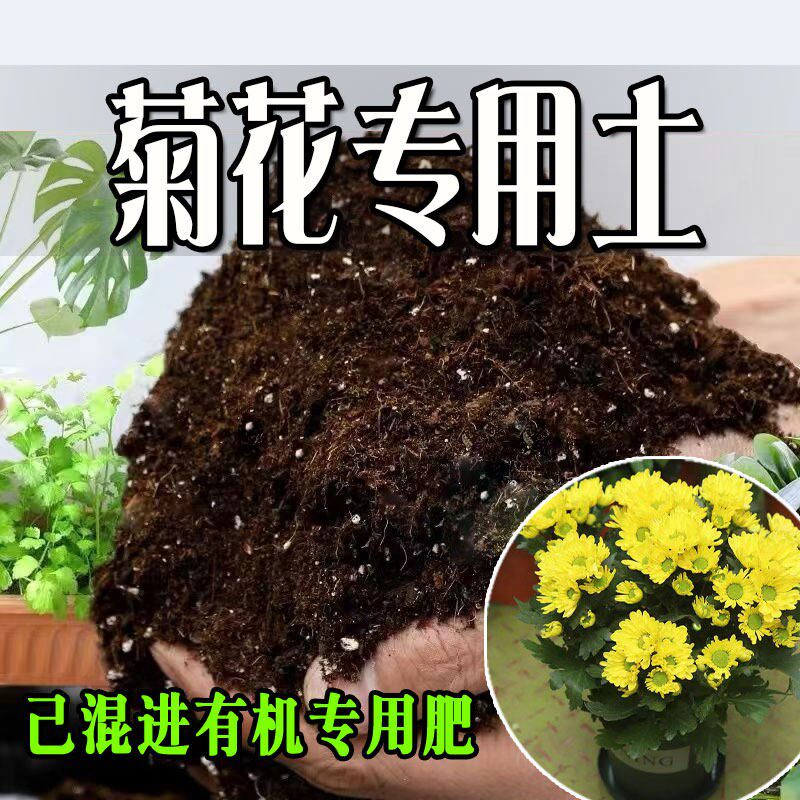 菊花专用土 疏松透气盆栽绿植专用室内植物营养土有机肥料种植土