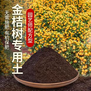 金桔专用土肥料果树金桔种树营养土通用黑土阳台室内水果蓬松土壤