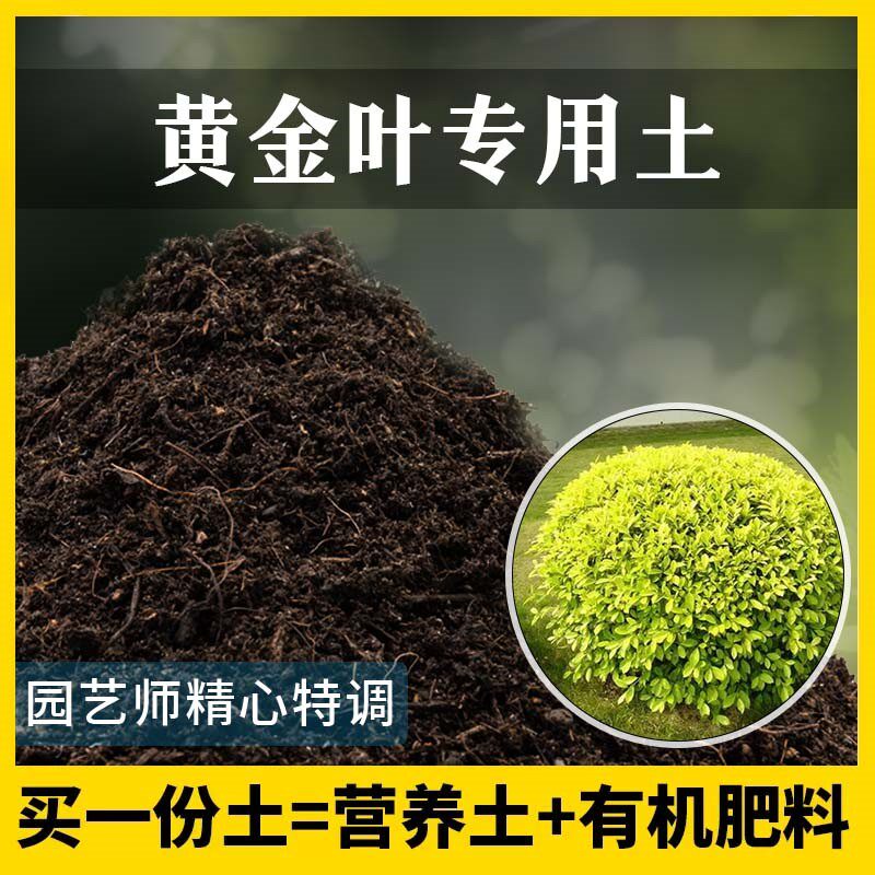 黄金叶专用土肥料家庭种花盆栽土黄金叶营养土花卉泥土养花种植土