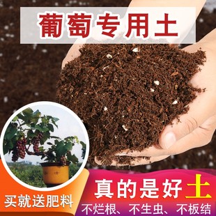 葡萄专用土营养土果树种树专用土花泥营养土泥土种植土植物花卉土