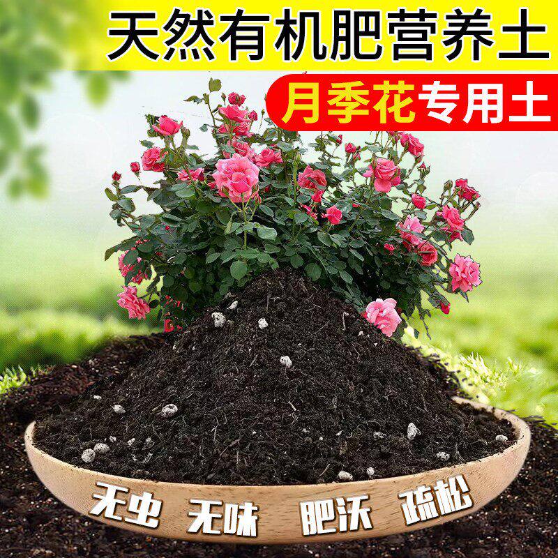 月季玫瑰土专用土月季花营养土壤蔷薇欧月花泥土酸性种植土有机肥