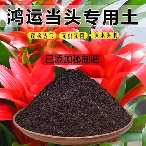 鸿运当头专用土育苗土栽培土花卉土鸿运当头营养土种花土种植土