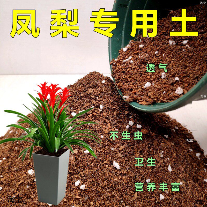 鸿运当头专用土凤梨苗养花有机土红星乔迁植物通用型营养土壤精选