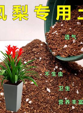 鸿运当头专用土凤梨苗养花有机土红星乔迁植物通用型营养土壤精选