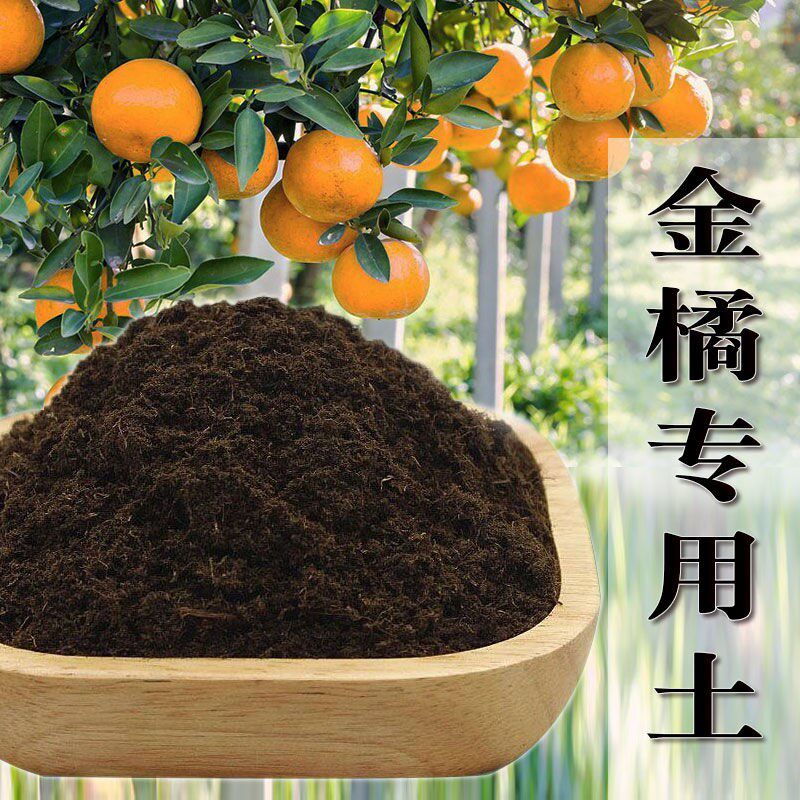 金桔树专用土橘子树土营养土壤养花土种植土通用有机肥料弱酸性土