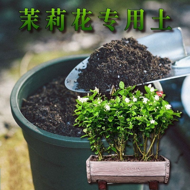 茉莉花专用营养土种植土壤盆栽土疏松透气种花养花土有机土花卉土