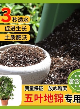 【五叶地锦专用土】家用盆栽土加生根粉绿植专用有机植物营养肥料