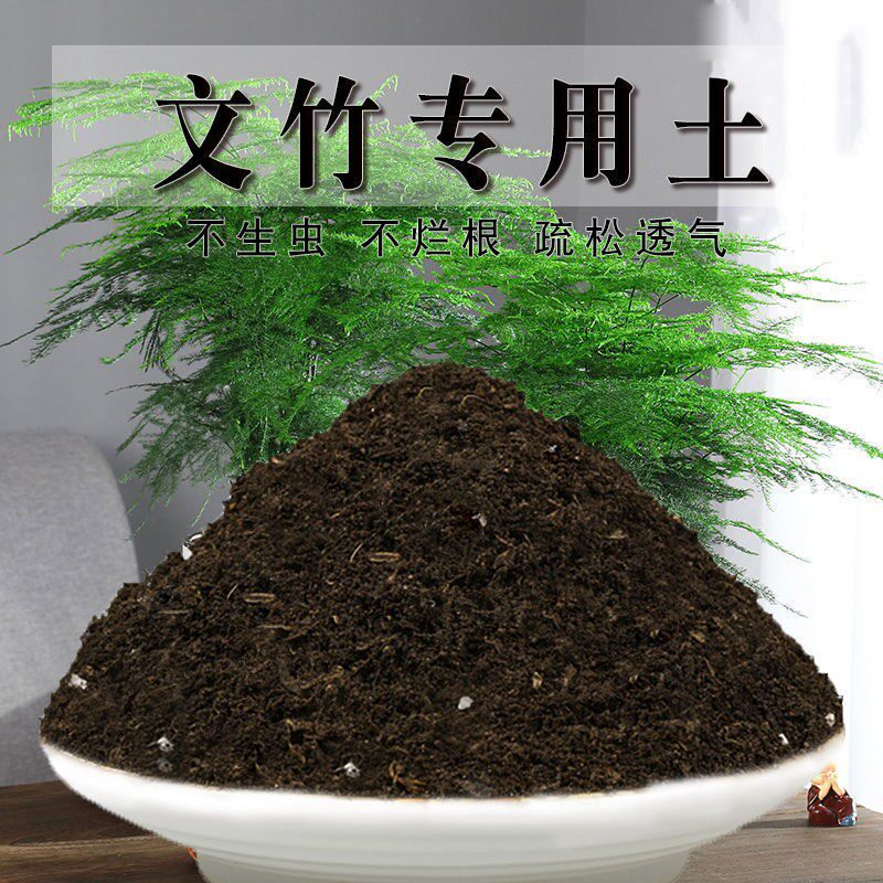 文竹盆栽泥炭土加珍珠岩高温腐熟扦插加有机肥有机土泥炭基质菜园