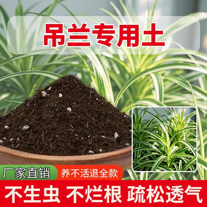 吊兰专用土栽培土通用育苗花土家庭室内养花专用土有机肥花盆种菜