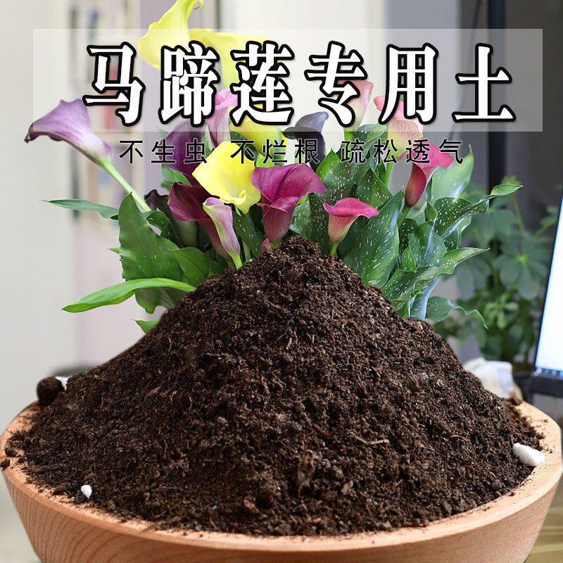 马蹄莲专用土马蹄莲专用营养土盆栽土养花种花土通用种植土壤肥料
