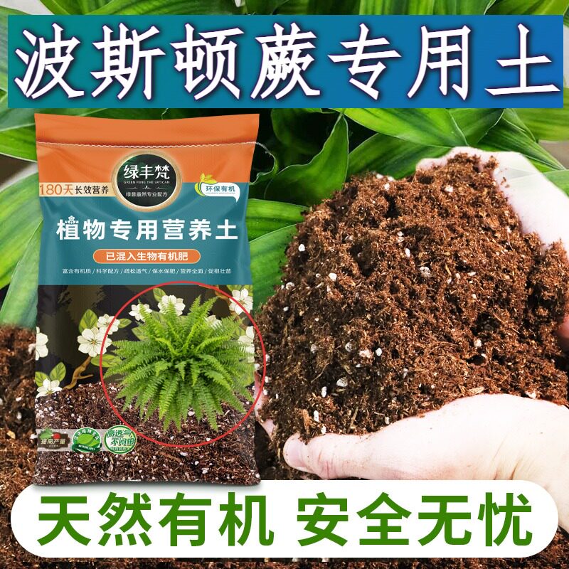 波斯顿蕨适用轻质土改良土质多肉营养土安全可靠防徒长无草籽观花