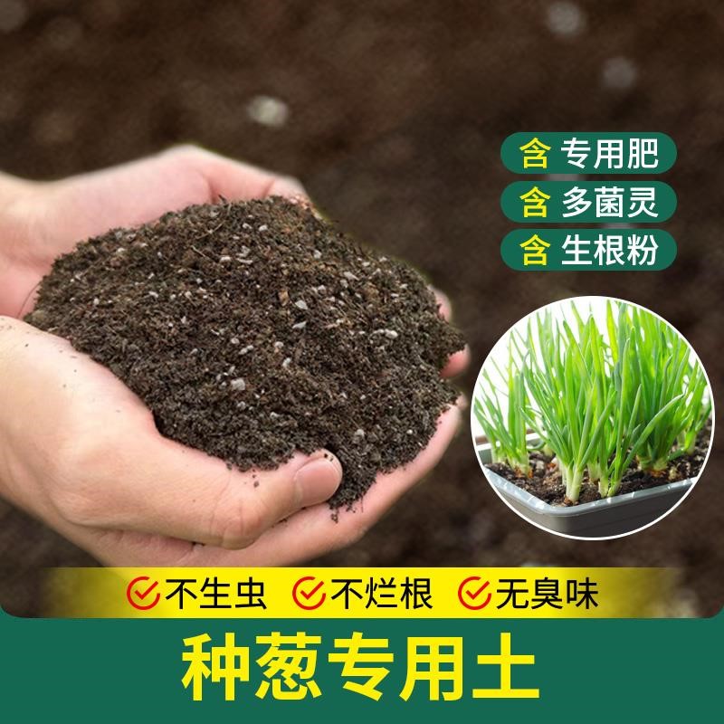 种葱专用土种菜土有机土壤阳台种菜专用土育苗室内菜园菜地家庭