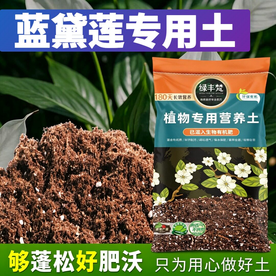 蓝黛莲适用轻质园艺土不易板结种植土安全可靠保护根系大包装球根
