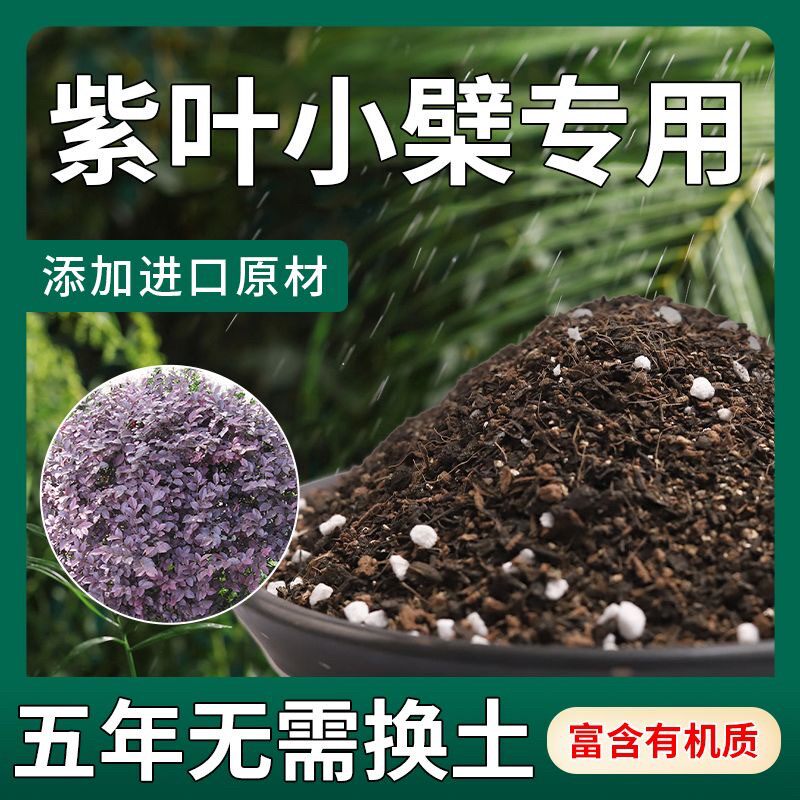 【不生虫】紫叶小檗适用土疏松透气盆栽绿植专用土室内植物营养土