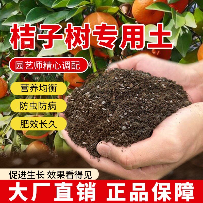 桔子树专用土肥料通用家用有机土桔子树营养土果苗黑土农业土壤