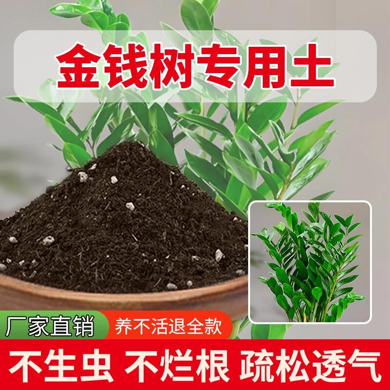 金钱树专用土种花蓬松盆栽土壤营养土种菜室内养花专用土种植土
