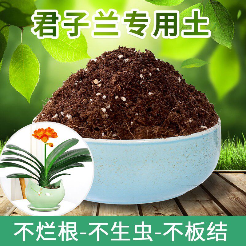 君子兰土专用营养土养花通用型种绿植土花卉培养土种花有机盆栽