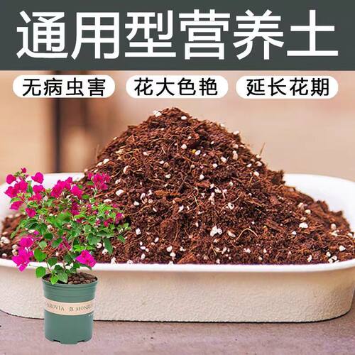 通用型土壤种植土花泥通用型营养土弱酸性建兰寒兰兰科植料新土壤