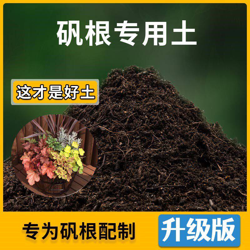 矾根专用土家用种植土壤通用型矾根营养土家庭盆栽种花养花有机土