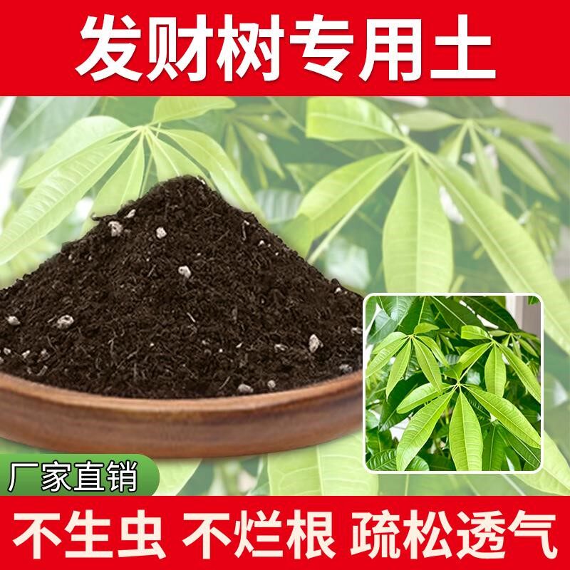 发财树专用土种菜有机肥种花土种菜土花草盆栽专用土养花营养土