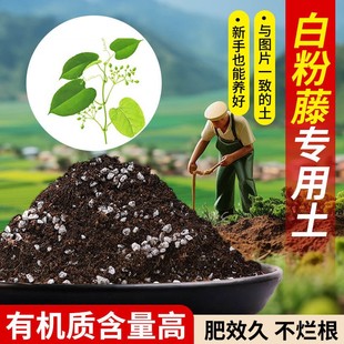 白粉藤营养土适用土透气疏松含泥炭肥料通用有机种植土适用土批发