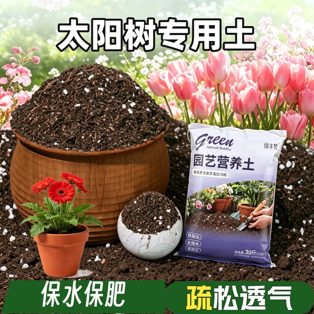 太阳树适用盆景土高温灭菌园艺包邮无菌绿叶观花基质含泥炭泥炭土