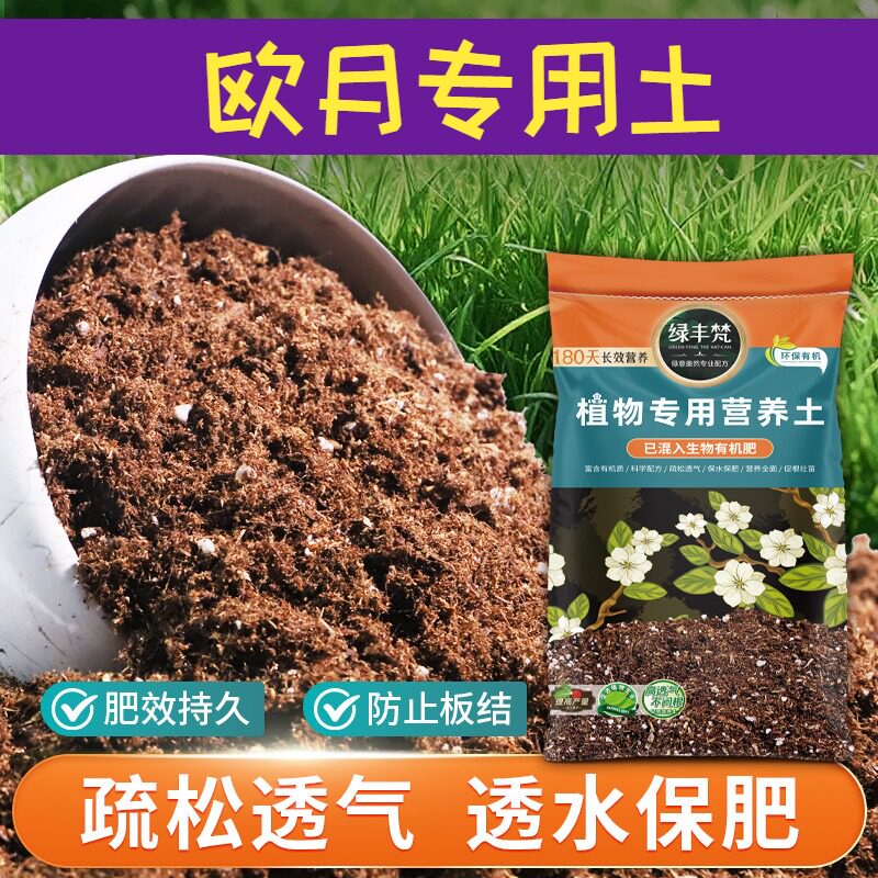 欧月适用花泥根壮苗好家用营养土结构稳定促生长家用装多肉园艺