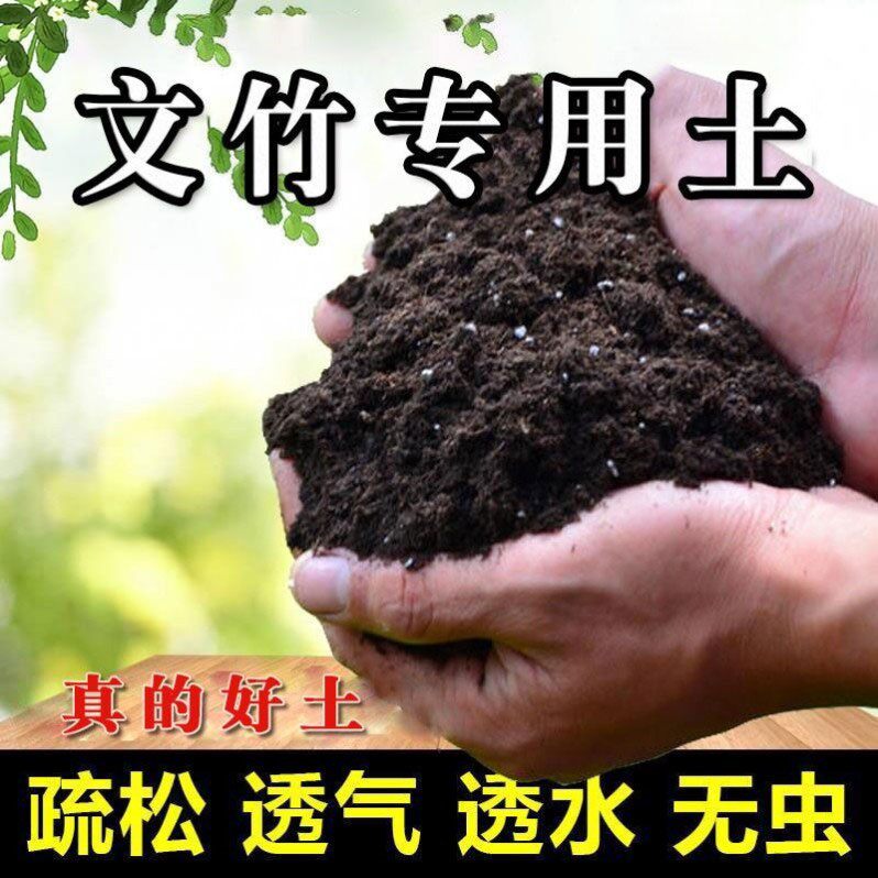 文竹专用土文竹土壤种植土盆栽养花土营养土花盆有机肥有机土花泥