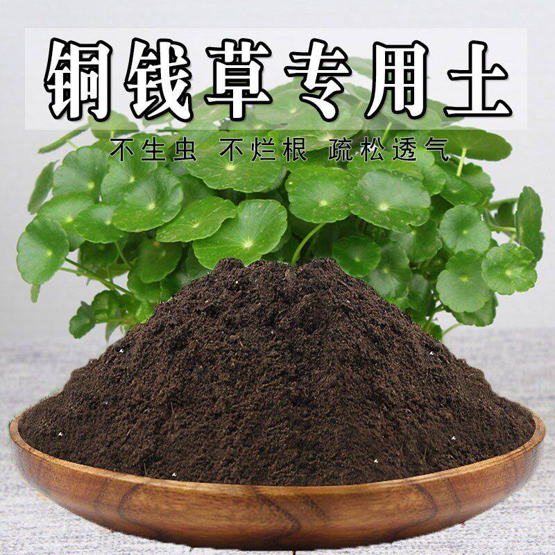 铜钱草专用土铜钱草营养土盆栽养花土通用绿植土壤种植土有机肥料