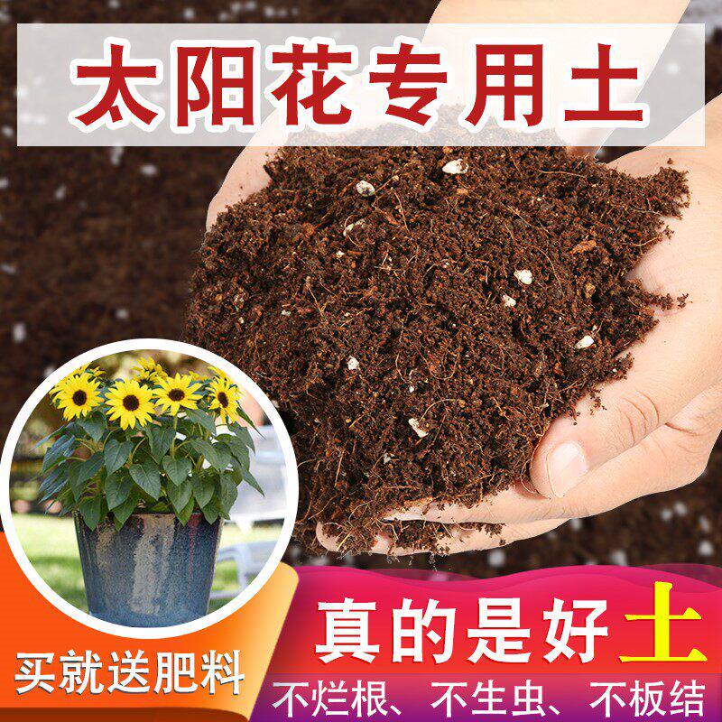 太阳花专用土种花的营养土太阳花营养土太阳花泥土花泥营养土花土