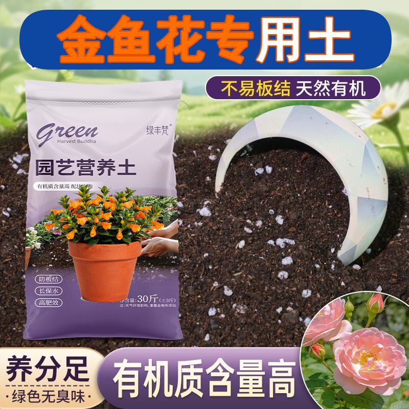 金鱼花适用轻质土疏松透气根壮苗好花园加牛粪进口壮根球根大包