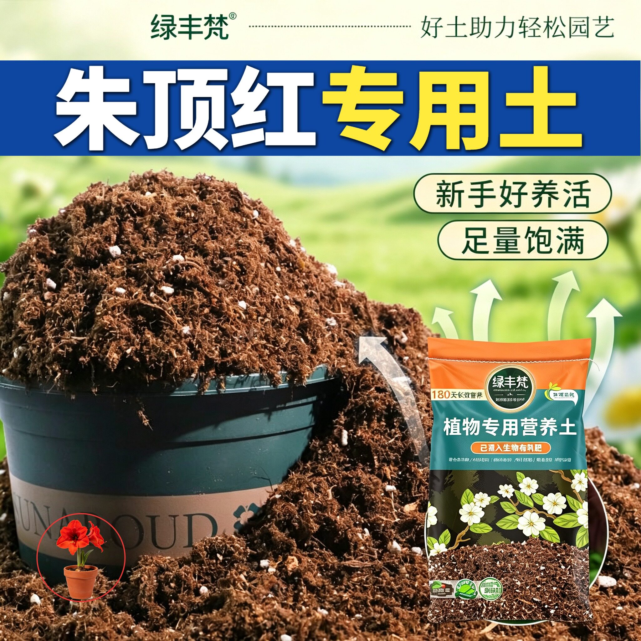 朱顶红适用花泥持水性好盆景种植土质地松软改善板结无草籽木本