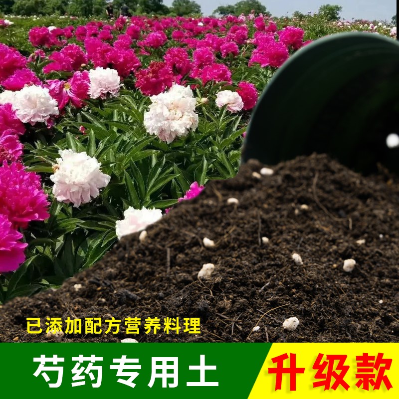 芍药盆栽有机土盆景土根壮苗好花园室内泥炭基质通用腐叶土包邮