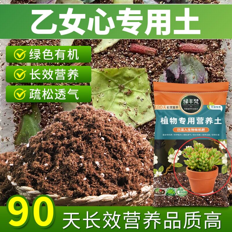 乙女心适用种植土透气性佳育苗盆栽土杂质较少促生长家用装球根