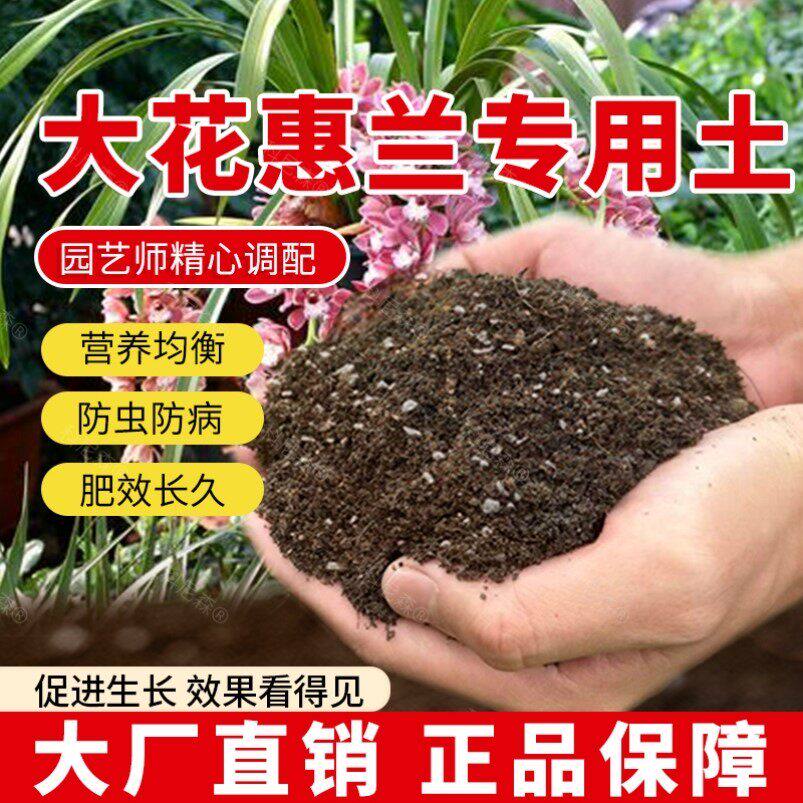 大花惠兰专用土肥料泥土家庭花草种花种植大花惠兰营养土花盆养花
