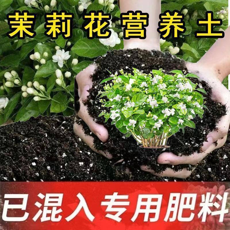 茉莉花营养土茉莉花专用土盆栽土花卉土壤有机肥料酸性土种植花土
