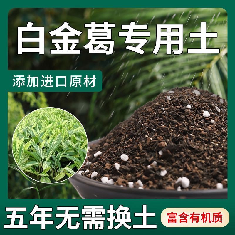 【不生虫】白金葛适用土疏松透气盆栽绿植专用土室内植物营养土