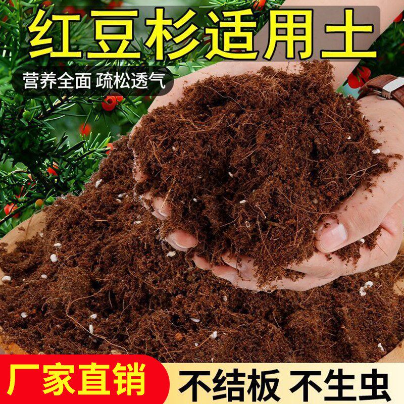 红豆杉适用土家庭园艺通用营养土养花绿植专用土壤肥料