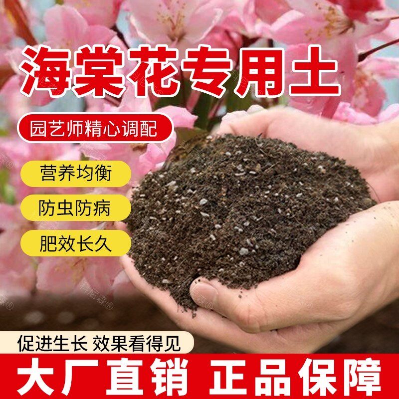 海棠花专用土营养土绿植种花养花海棠花专用肥料泥土育苗花土花盆