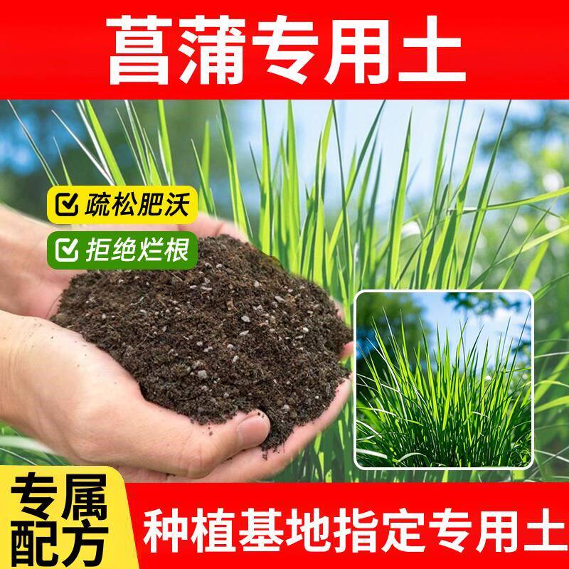 菖蒲专用土花草阳台种花土蓬松花肥有机透气发酵菖蒲专用营养土