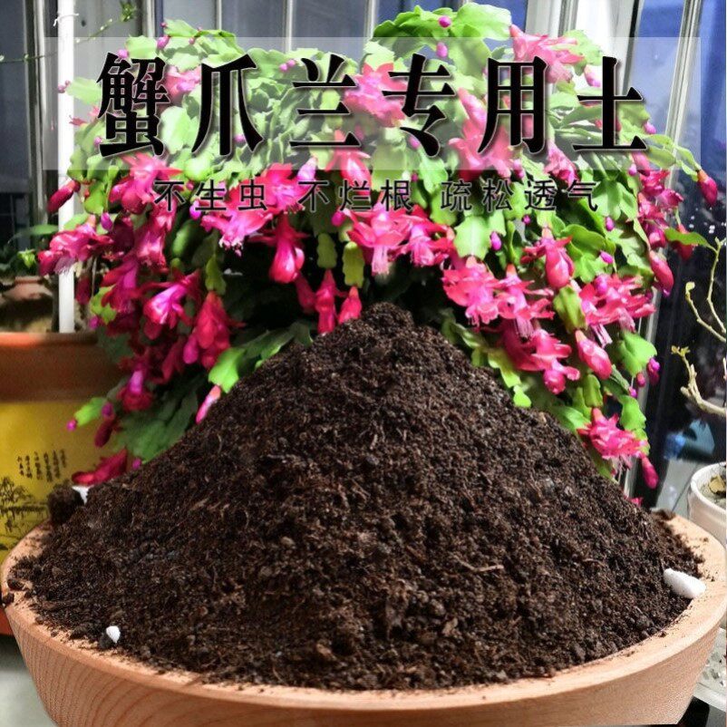 蟹爪兰专用土种菜土养花室内疏松蟹爪兰专用营养土有机肥家庭肥料