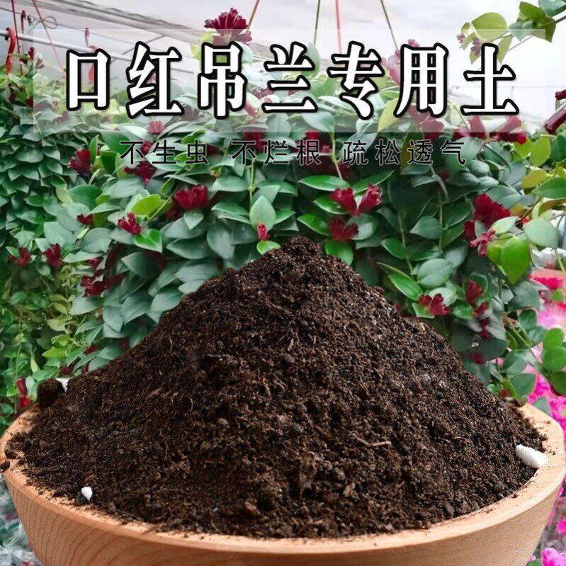 口红吊兰专用土口红吊兰专用营养土盆栽土养花种花土通用种植土壤
