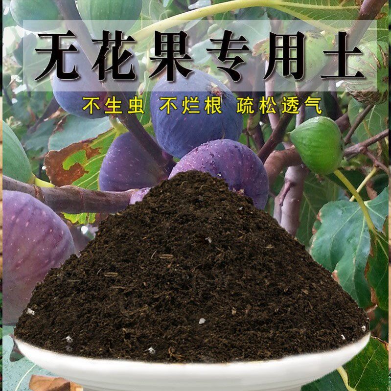 无花果专用土盆栽无花果营养土通用沙质土壤养花土绿植种植土肥料