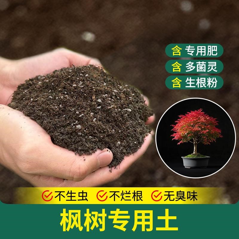 枫树专用土植物家庭椰砖土壤绿植物蓬松营养土室内养花专用土盆栽